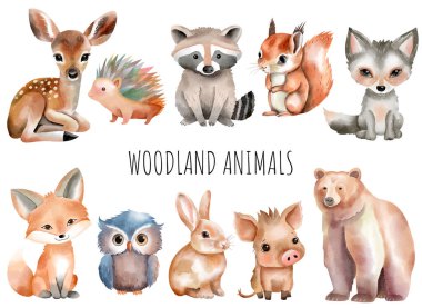 Set of watercolor forest animals. Woodland animals. Bear, fox, boar, deer, squirrel, owl, hare, hedgehog. clipart