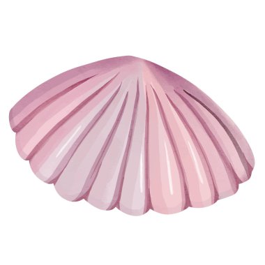 Deniz kabuğu suluboya boyanmış. Deniz kabuğunun çizimleri