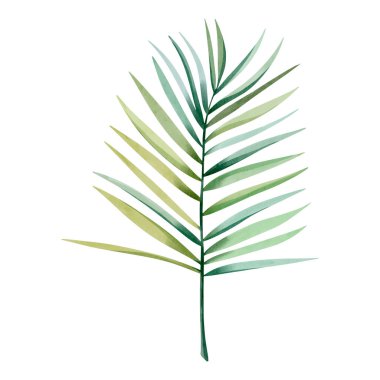 Suluboya tropikal yaprak. Egzotik yapraklar. Çiçek çizimi. Suluboya ormanı