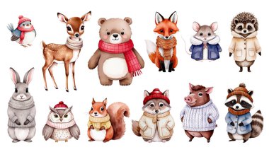 Set of watercolor woodland animals in winter clothes. Autumnal animals. Bear, fox, boar, deer, squirrel, owl, hare, hedgehog. clipart