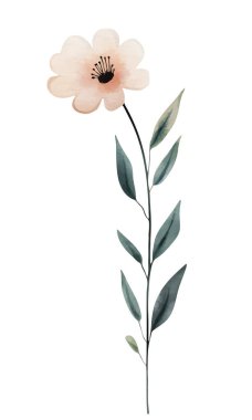 Pastel renklerde suluboya yabani çiçek. Düğün davetiyeleri ve kartlar için suluboya çayır bitkisi.. 