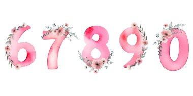 Hassas çiçekli suluboya numaralar. El boyası pembe suluboya numaralar. Numaralar 6 7 8 9 0.