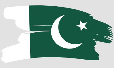 Pakistan bayrak fırçası boya dokusu. Grunge Pakistan bayrağı. Pakistan amblem fırçası kavramı