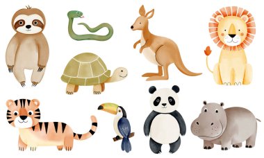 Wild jungle animals. Watercolor african lion, turtle, tiger, sloth, panda. Hand drawn safari animals set. clipart