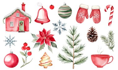 Suluboya Noel seti. Botanik bitkileri, çiçekler ve kar taneleri. Firavun dalları, böğürtlenler ve şenlik süslemeleri.