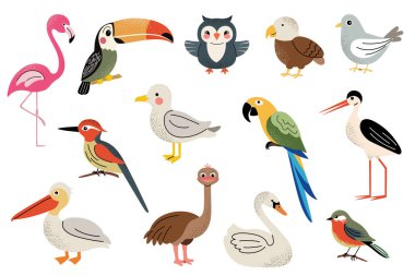 Different cartoon wild domestic birds. Cute birds set. Owl, swan, stork, flamingo, pelican, toucan, tit. 