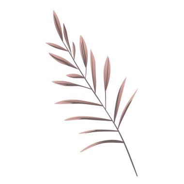 Nazik pembe bir dal. Çayır botanik elementi. Narin yabani bitki.