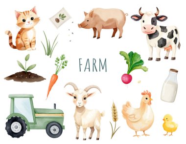 Çiftlik elementlerinin suluboya seti. Çiftlikteki hayvanlar. Traktör, sebze, süt, kedi, inek, domuz, keçi, piliçle tavuk.