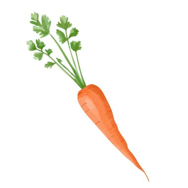 Suluboya havuç. El yapımı sebze. Sağlıklı vejetaryen yemekleri.