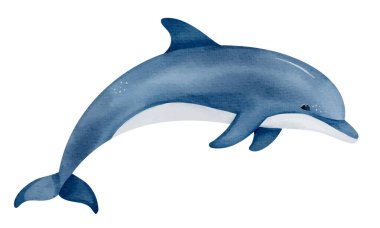 Tatlı suluboya yunus. El yapımı su altı karakteri. Deniz hayvanları. Okyanusun sakini.