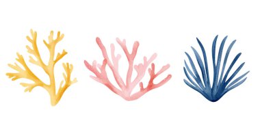 Suluboya mercan seti. Su altı bitkileri, yosunlar. Deniz bitkisi çizimi. El yapımı akvaryum ve okyanus yaşamı