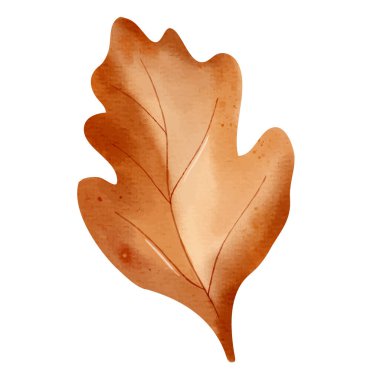 Suluboya sonbahar yaprağı. Mevsimsel tasarım, posterler, kartlar için elle boyanmış sonbahar yaprakları. 