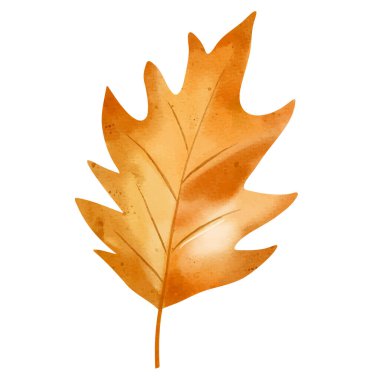 Suluboya sonbahar yaprağı. Mevsimsel tasarım, posterler, kartlar veya davetiyeler için elle boyanmış sonbahar yaprakları ögesi