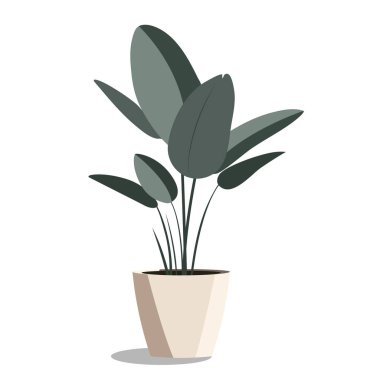 Düz bir şekilde saksı çiçeği. Ev, bahçe ya da dekor için ev bitkisinin asgari çizimi. Basit tasarım