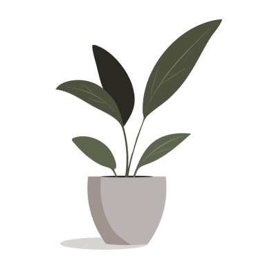 Ev, bahçe ya da dekor için ev bitkisinin asgari çizimi. Düz bir şekilde saksı çiçeği. Basit tasarım