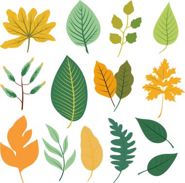 Beyaz arkaplanda yaprak tasarımı ögeleri