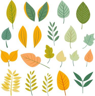 Beyaz arkaplanda yaprak tasarımı ögeleri