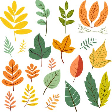 Beyaz arkaplanda yaprak tasarımı ögeleri