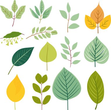 Beyaz arkaplanda yaprak tasarımı ögeleri