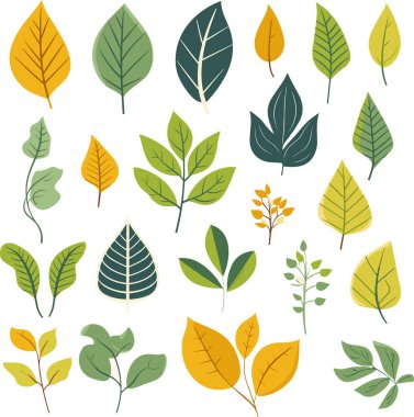 Beyaz arkaplanda yaprak tasarımı ögeleri