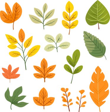 Beyaz arkaplanda yaprak tasarımı ögeleri