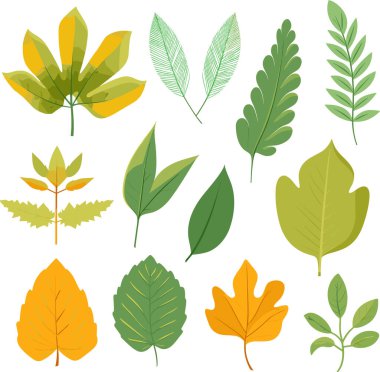 Beyaz arkaplanda yaprak tasarımı ögeleri