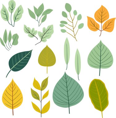 Beyaz arkaplanda yaprak tasarımı ögeleri