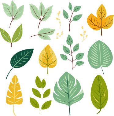 Beyaz arkaplanda yaprak tasarımı ögeleri