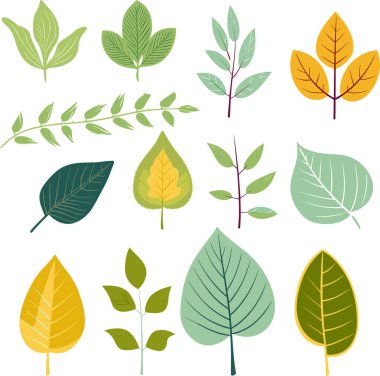 Beyaz arkaplanda yaprak tasarımı ögeleri