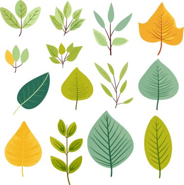 Beyaz arkaplanda yaprak tasarımı ögeleri