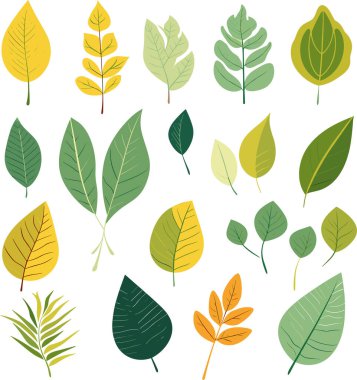 Beyaz arkaplanda yaprak tasarımı ögeleri