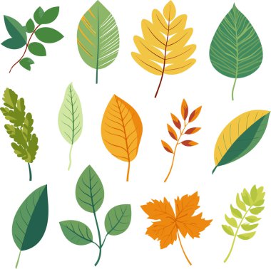 Beyaz arkaplanda yaprak tasarımı ögeleri