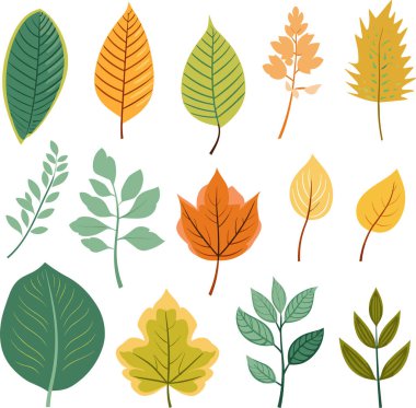 Beyaz arkaplanda yaprak tasarımı ögeleri