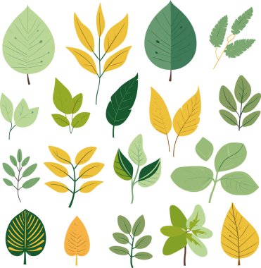 Beyaz arkaplanda yaprak tasarımı ögeleri