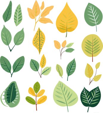 Beyaz arkaplanda yaprak tasarımı ögeleri