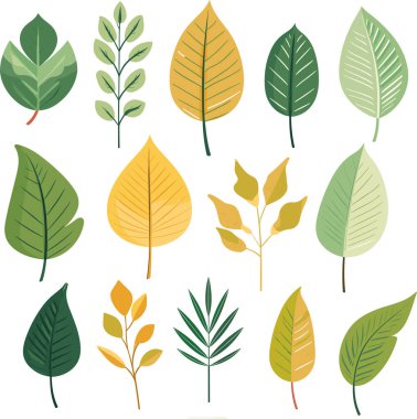 Beyaz arkaplanda yaprak tasarımı ögeleri