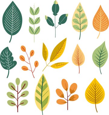 Beyaz arkaplanda yaprak tasarımı ögeleri
