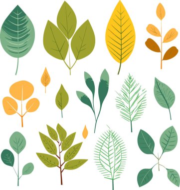 Beyaz arkaplanda yaprak tasarımı ögeleri