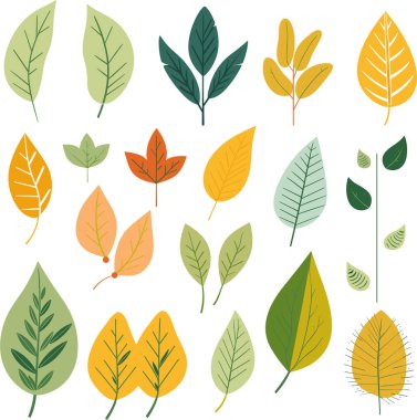 Beyaz arkaplanda yaprak tasarımı ögeleri