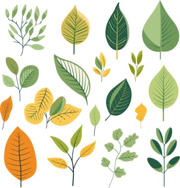 Beyaz arkaplanda yaprak tasarımı ögeleri