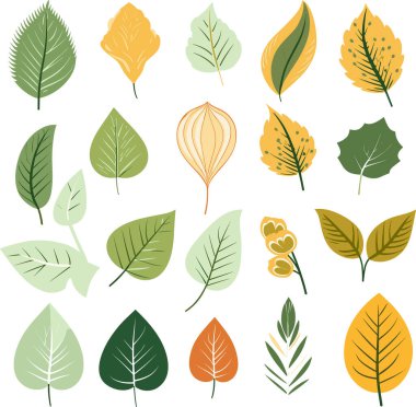 Beyaz arkaplanda yaprak tasarımı ögeleri