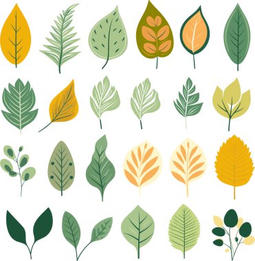 Beyaz arkaplanda yaprak tasarımı ögeleri