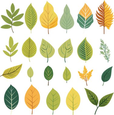 Beyaz arkaplanda yaprak tasarımı ögeleri