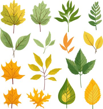 Beyaz arkaplanda yaprak tasarımı ögeleri