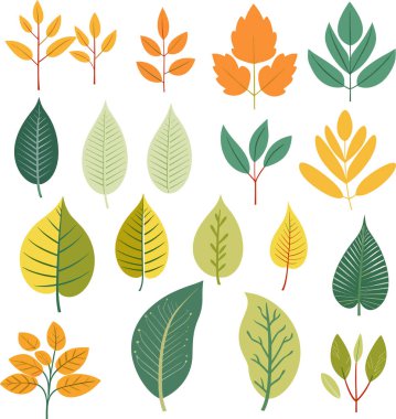 Beyaz arkaplanda yaprak tasarımı ögeleri