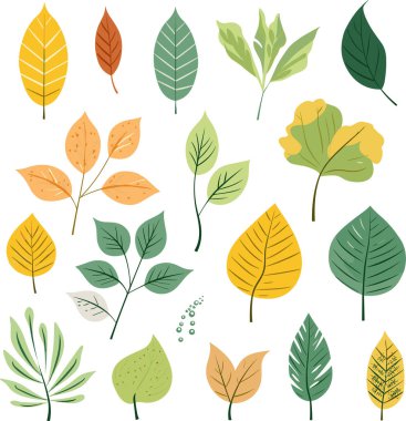 Beyaz arkaplanda yaprak tasarımı ögeleri