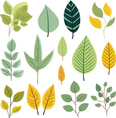 Beyaz arkaplanda yaprak tasarımı ögeleri