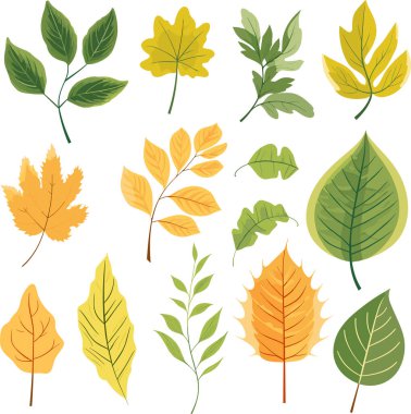 Beyaz arkaplanda yaprak tasarımı ögeleri