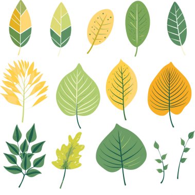 Beyaz arkaplanda yaprak tasarımı ögeleri