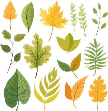 Beyaz arkaplanda yaprak tasarımı ögeleri